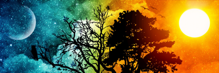 Cover image for post Ephemeral Love ☀, by lostAlice