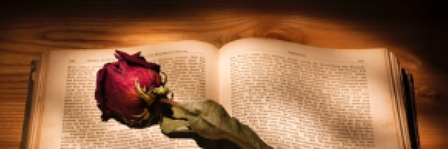 Cover image for post Why write, by poespoetry