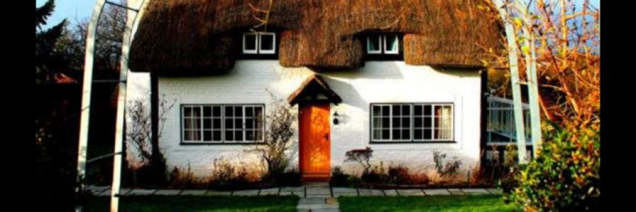 Cover image for post Walk, by AtMilliways