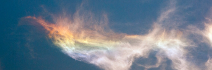 Cover image for post That kind of love, by Ritika