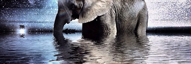 Cover image for post OM~so sweet, by Monibeloved