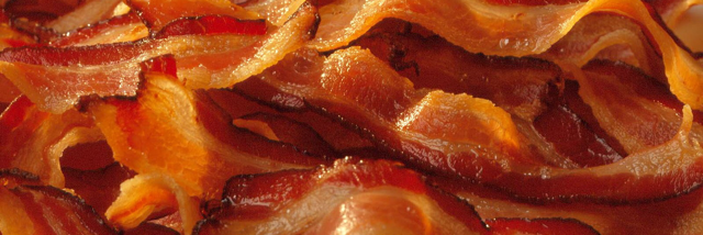 Cover image for post Bacon, by Ericjay