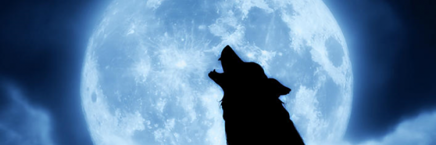 Cover image for post The Rune Runners, by AyeshaTariqAli