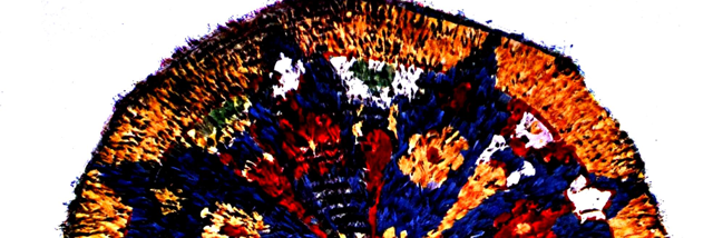 Cover image for post "Let's Go", by Marybken