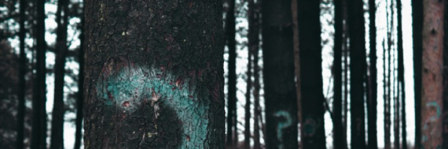 Cover image for post Who am I?, by DarkestTunnel