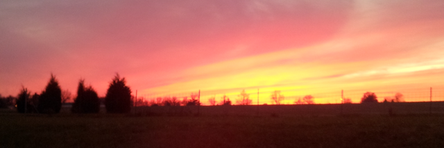 Cover image for post Tenth of a Mile, by StephanieMHogan