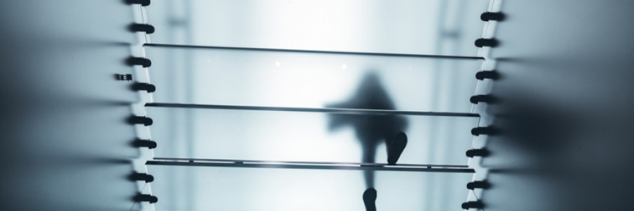 Cover image for post Application for Finally Feeling Like An Adult (Full-Time Unpaid Position), by jodimichelle