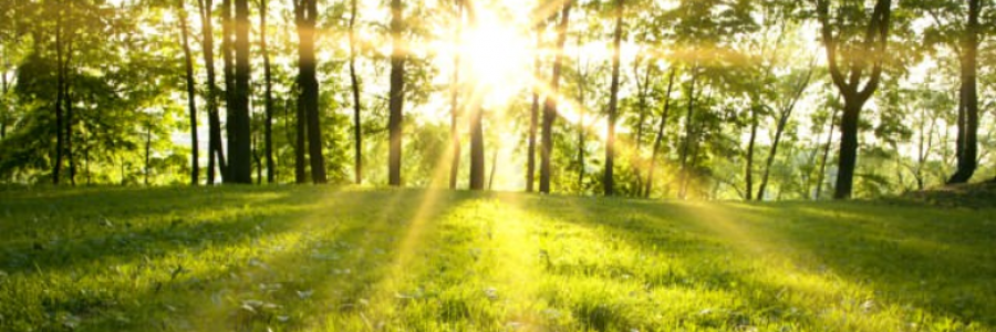 Cover image for post Summer's Call, by Stormlight