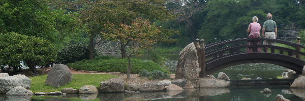 Cover image for post The Wellspring, by BetweenEpiphani