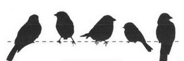 Cover image for post Why Showers Suck & How to Deal with Social Gatherings, by Marybken