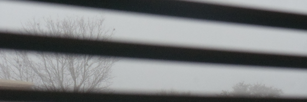 Cover image for post Storm Before the Calm, by TheRaven6825