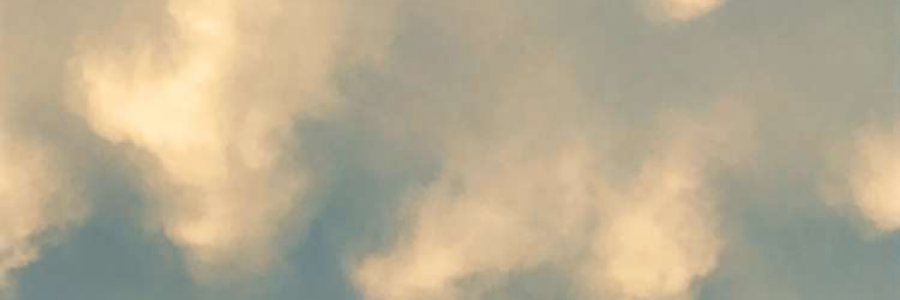 Cover image for post I Wouldn’t Have Fallen In Love, by Rev_Frenchie