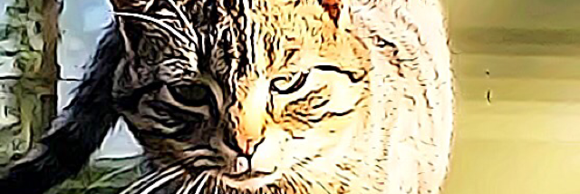 Cover image for post God?, by Yowwa