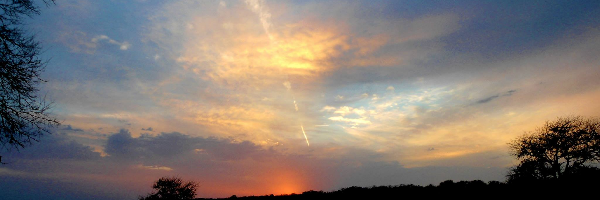 Cover image for post Impressions, by DMYope