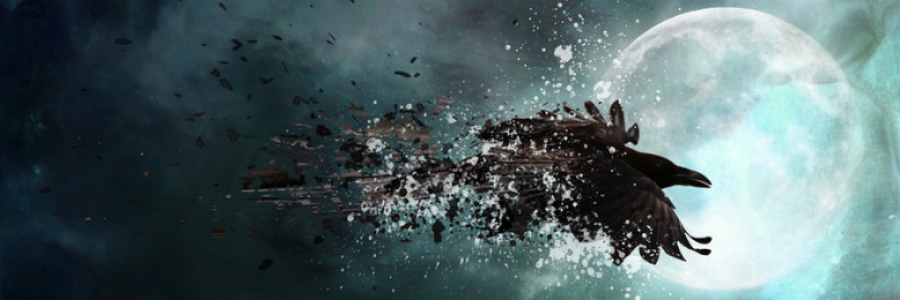 Cover image for post Look at Me, by Kittysailor