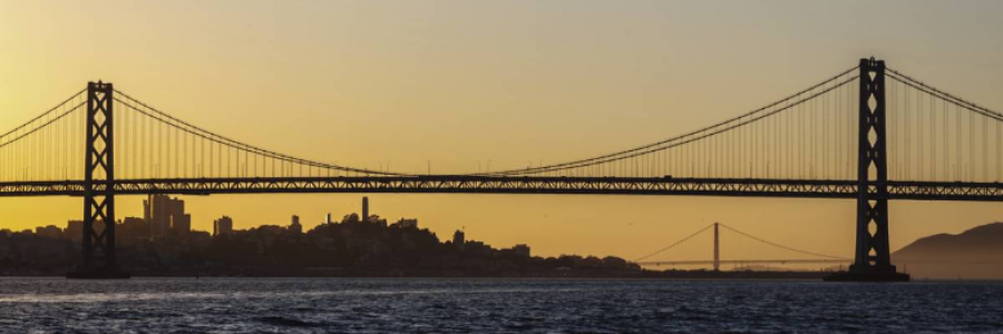 Cover image for post Who?, by Kittysailor