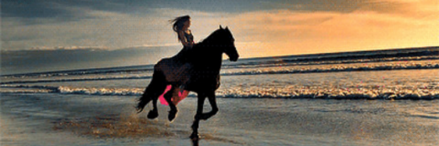 Cover image for post Her Kind Of Beautiful, by mhmarie