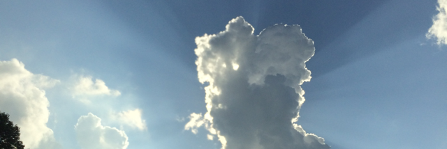 Cover image for post I am, by Swift