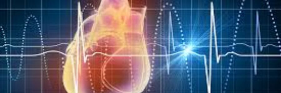 Cover image for post Forever, by mhmarie