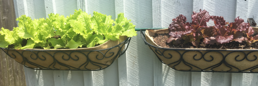 Cover image for post Sad No More, by Ken_W_Writer