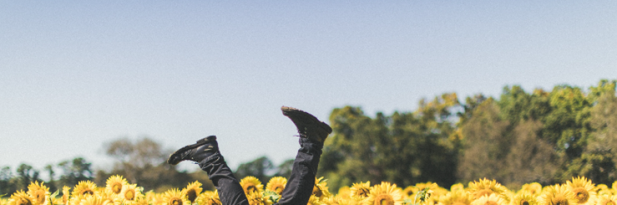 Cover image for post Laughter, by Moonjay