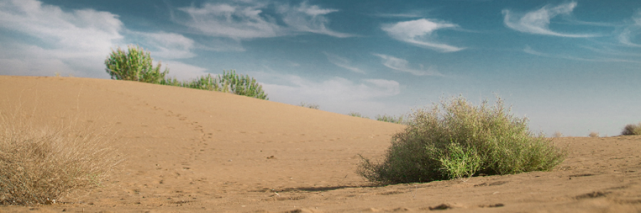 Cover image for post The Desert, by Moonjay