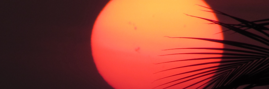 Cover image for post Power, by Moonjay