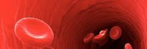 Cover image for post Blood, by ThePoemCat