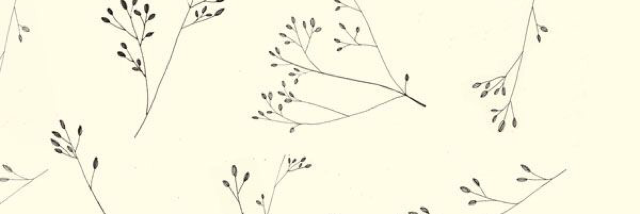 Cover image for post peace, serene, but still ambivalent about it all, by Karlacaldera