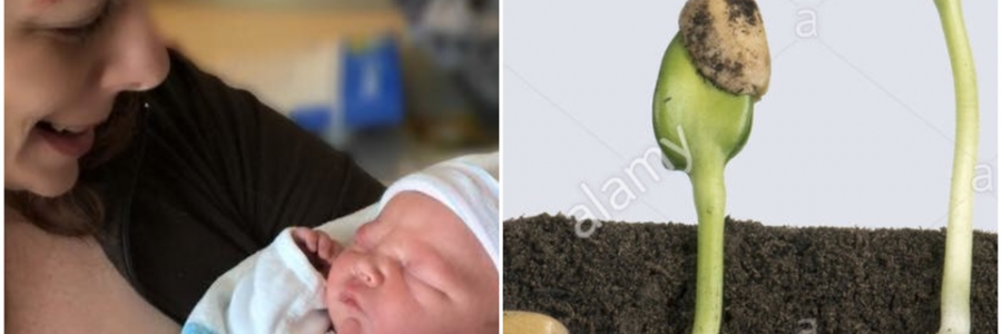 Cover image for post In the beginning...., by Vyxyn