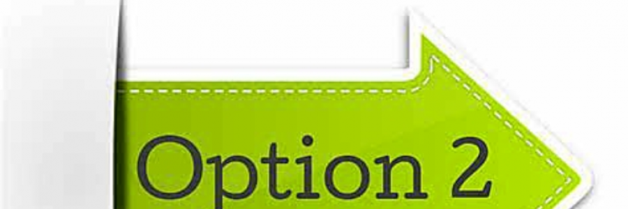 Cover image for post OPTIONS, by BonnieBoo