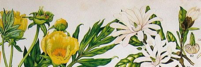 Cover image for post what a morbid thought, by Karlacaldera