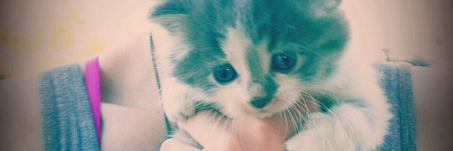 Cover image for post Untitled, by Halebale