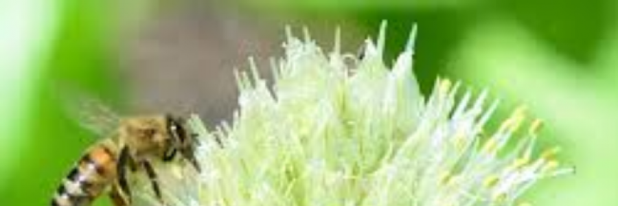 Cover image for post in a moment, by wordSwork