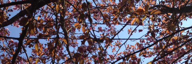 Cover image for post One of my favorite quotes:, by jessie