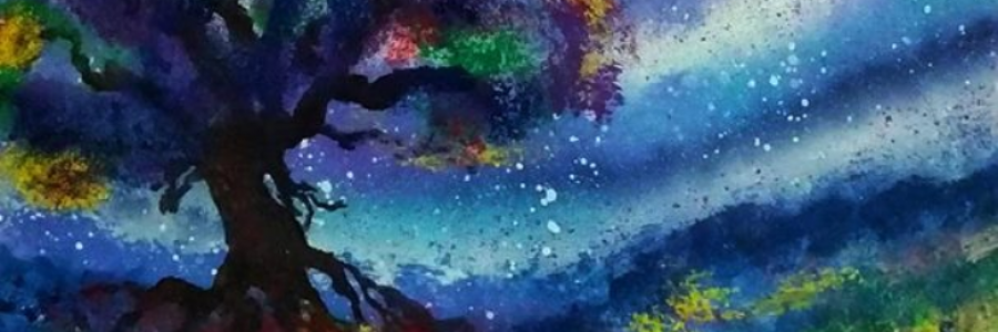 Cover image for post Oakflection, by mhmarie