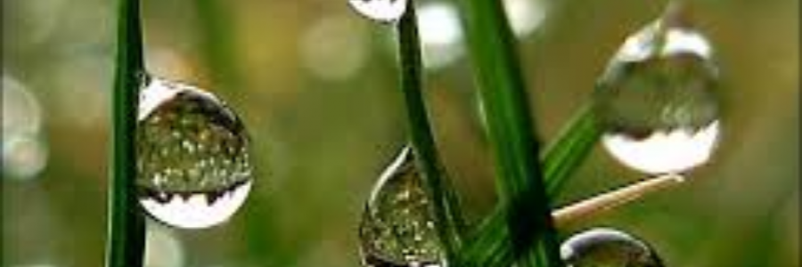 Cover image for post All Dolled Up, by sandflea68