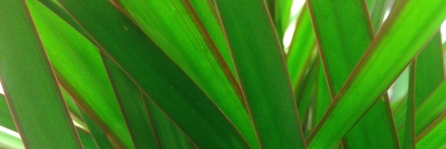 Cover image for post The Meaning, by A