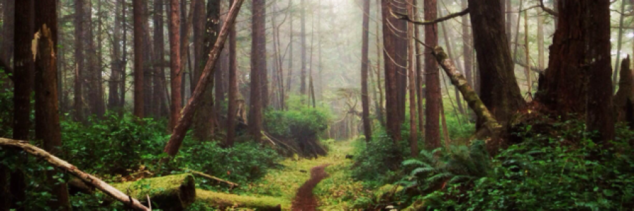 Cover image for post A bright new world part three, by PrincessHeda