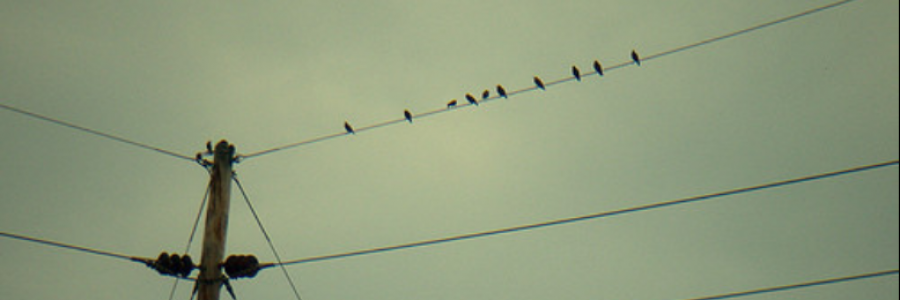 Cover image for post music., by alyptik