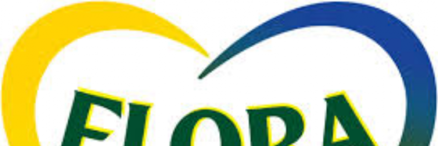 Cover image for post Flora is a delight, by karshu