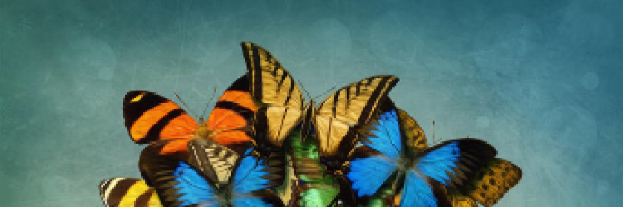 Cover image for post FLUTTER..., by Mnezz