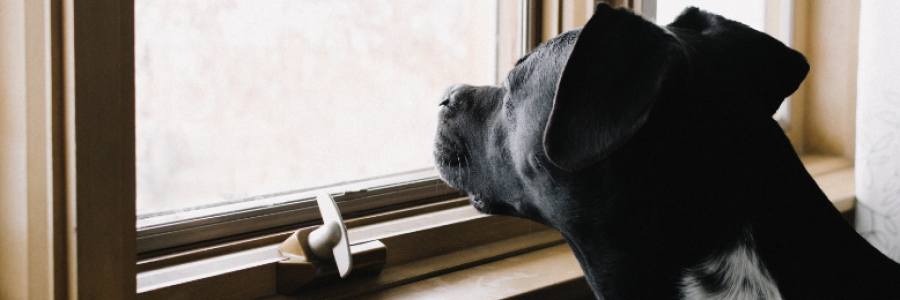 Cover image for post Missed Connection: The Brilliant Story Idea That Vanished in The Night, by jodimichelle