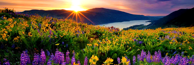 Cover image for post On Top of the World, by E