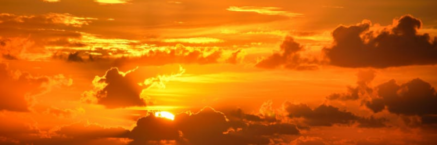 Cover image for post unchained, by IvyBee