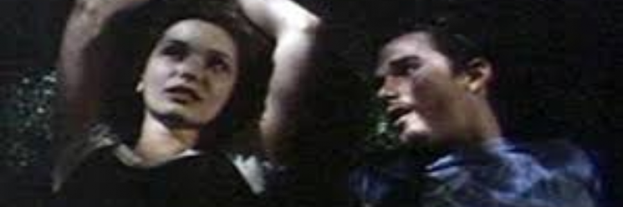 Cover image for post Heat Waves, by sandflea68