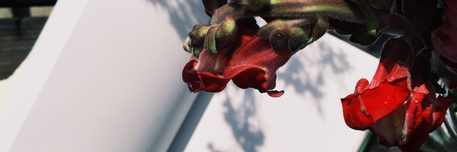 Cover image for post Untitled, by Aheartalight