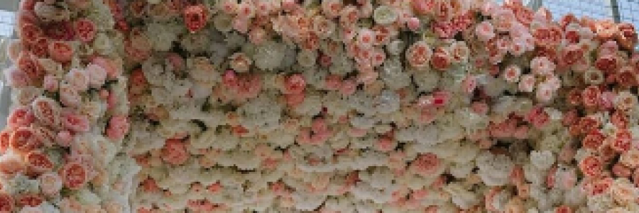 Cover image for post The wedding knots, by Sparklingblue