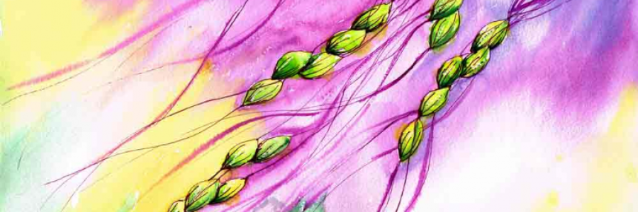 Cover image for post Seed in the Fresh Earth, by sandflea68