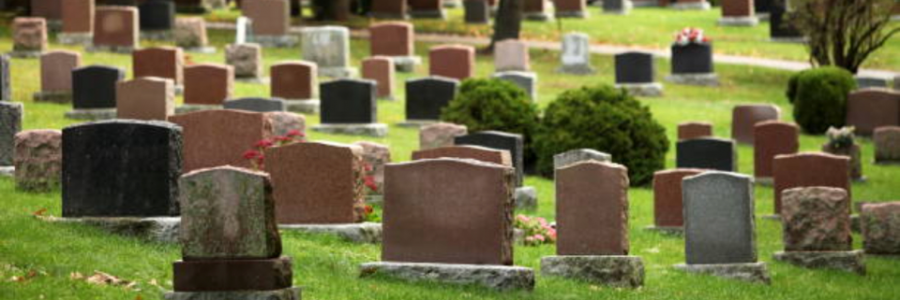 Cover image for post July Memorial, by GuavaJelly